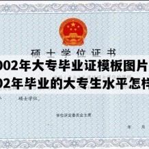 2002年大专毕业证模板图片(2002年毕业的大专生水平怎样)