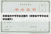 安徽省的中专毕业证图片（安徽省中专毕业证样本图片）