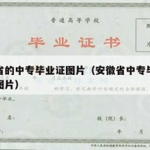 安徽省的中专毕业证图片（安徽省中专毕业证样本图片）