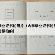 大学毕业证书的照片（大学毕业证书的照片是什么时候拍的）