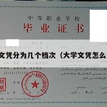 大学文凭分为几个档次（大学文凭怎么分类）