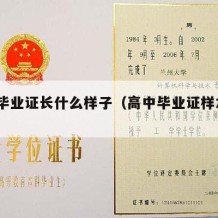 高中毕业证长什么样子（高中毕业证样本图2020）