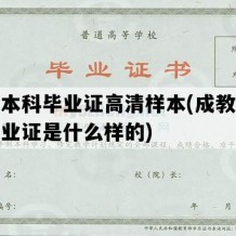 成教本科毕业证高清样本(成教本科的毕业证是什么样的)