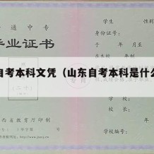 山东自考本科文凭（山东自考本科是什么意思）