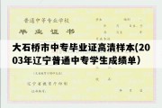 大石桥市中专毕业证高清样本(2003年辽宁普通中专学生成绩单）