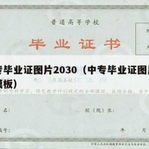 中专毕业证图片2030（中专毕业证图片高清模板）