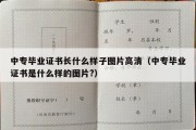 中专毕业证书长什么样子图片高清（中专毕业证书是什么样的图片?）