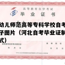 保定幼儿师范高等专科学校自考毕业证样子图片（河北自考毕业证制作联系方式）