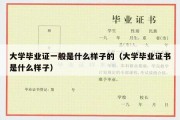 大学毕业证一般是什么样子的（大学毕业证书是什么样子）