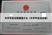 大学毕业证原图是什么（大学毕业证样板）