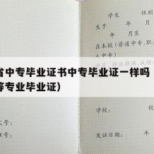 浙江省中专毕业证书中专毕业证一样吗（浙江省中等专业毕业证）