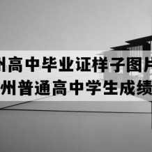 黔东州高中毕业证样子图片(1996年贵州普通高中学生成绩单）