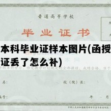 函授本科毕业证样本图片(函授本科毕业证丢了怎么补)