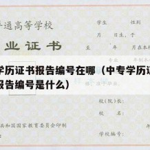 中专学历证书报告编号在哪（中专学历证书查询网报告编号是什么）