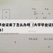 大学毕业证丢了怎么办呀（大学毕业证搞丢了怎么办）