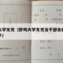 野鸡大学文凭（野鸡大学文凭当干部会被取消吗知乎）