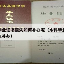 本科毕业证书遗失如何补办呢（本科毕业证遗失怎么补办）