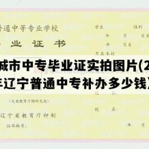 凤城市中专毕业证实拍图片(2008年辽宁普通中专补办多少钱）