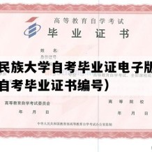 青海民族大学自考毕业证电子版图（青海自考毕业证书编号）