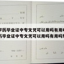 中专学历毕业证中专文凭可以用吗有用吗（中专学历毕业证中专文凭可以用吗有用吗知乎）