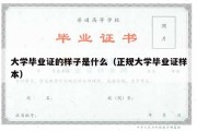 大学毕业证的样子是什么（正规大学毕业证样本）