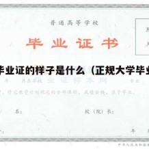 大学毕业证的样子是什么（正规大学毕业证样本）