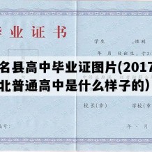 大名县高中毕业证图片(2017年河北普通高中是什么样子的）