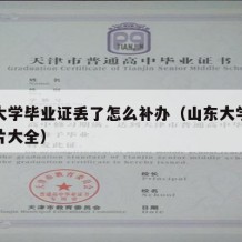 山东大学毕业证丢了怎么补办（山东大学毕业证图片大全）