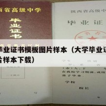 大学毕业证书模板图片样本（大学毕业证书模板图片样本下载）