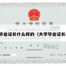 大学毕业证长什么样的（大学毕业证长啥样）