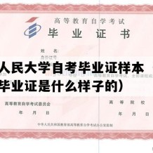 中国人民大学自考毕业证样本（北京自考毕业证是什么样子的）