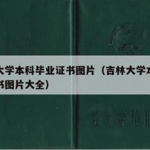 吉林大学本科毕业证书图片（吉林大学本科毕业证书图片大全）