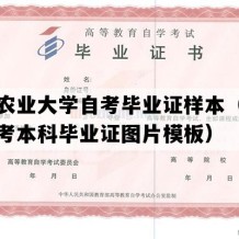 东北农业大学自考毕业证样本（黑龙江自考本科毕业证图片模板）