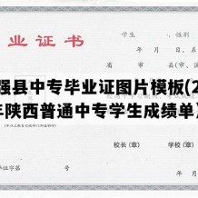 宁强县中专毕业证图片模板(2015年陕西普通中专学生成绩单）