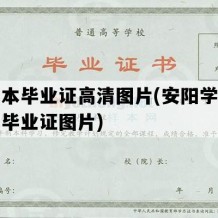 专升本毕业证高清图片(安阳学院专升本毕业证图片)