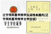 辽宁何氏医学院学位证样本图片(辽宁何氏医学院学士学位证)