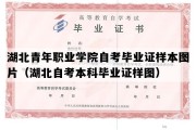 湖北青年职业学院自考毕业证样本图片（湖北自考本科毕业证样图）