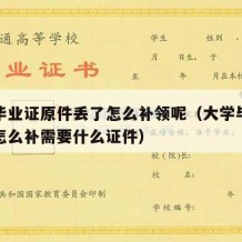 大学毕业证原件丢了怎么补领呢（大学毕业证丢了怎么补需要什么证件）