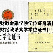 河南财政金融学院学位证高清模板(河南财经政法大学学位证书)