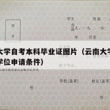 云南大学自考本科毕业证图片（云南大学自考本科学位申请条件）