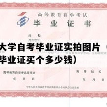 开封大学自考毕业证实拍图片（河南自考毕业证买个多少钱）