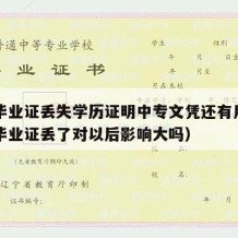 中专毕业证丢失学历证明中专文凭还有用吗（中专毕业证丢了对以后影响大吗）