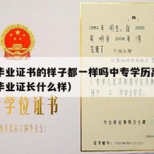 中专毕业证书的样子都一样吗中专学历高吗（中专毕业证长什么样）