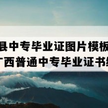 龙胜县中专毕业证图片模板(1995年广西普通中专毕业证书编号）