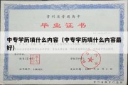 中专学历填什么内容（中专学历填什么内容最好）