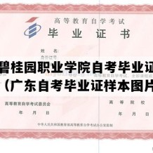 广东碧桂园职业学院自考毕业证实拍图片（广东自考毕业证样本图片）