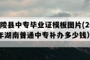 茶陵县中专毕业证模板图片(2019年湖南普通中专补办多少钱）