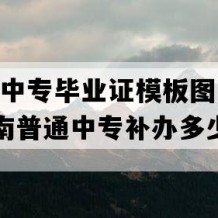 茶陵县中专毕业证模板图片(2019年湖南普通中专补办多少钱）