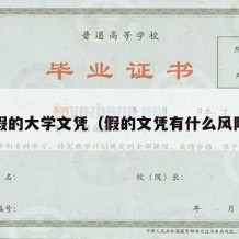 办假的大学文凭（假的文凭有什么风险?）