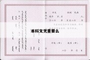 本科文凭重要么